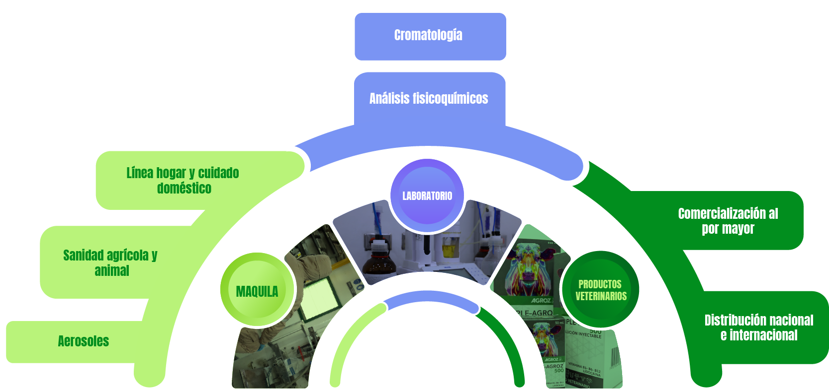 mapa servicios 2